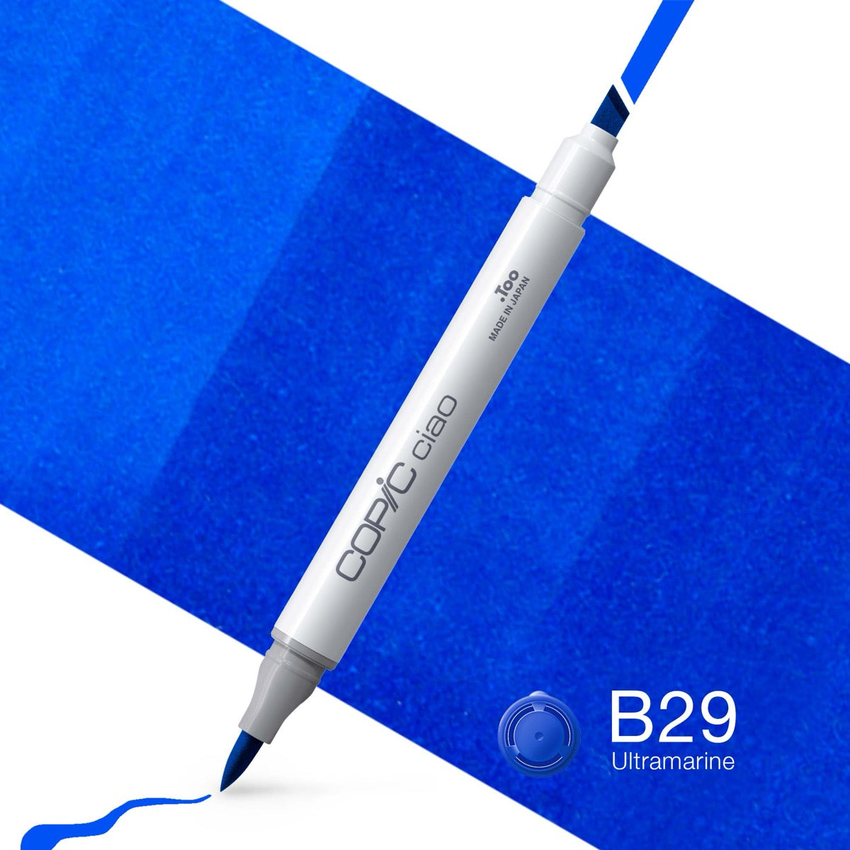 B29