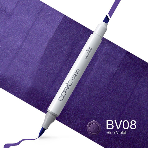 BV08